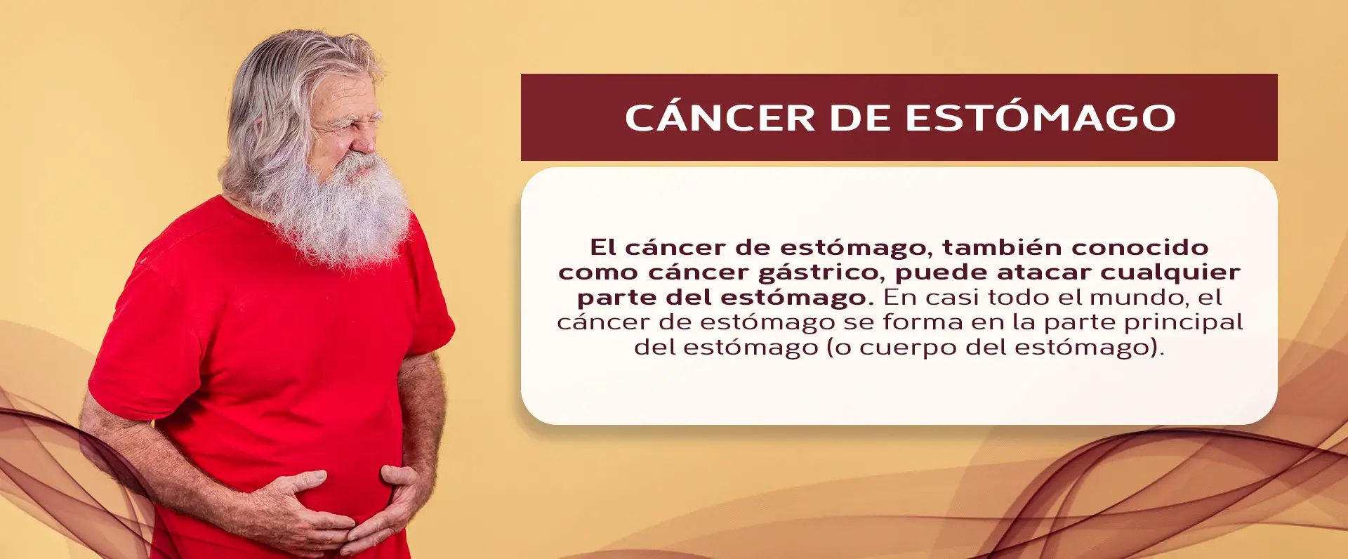 El cáncer de estómago se desarrolla en varias zonas del estómago, especialmente en la parte principal 