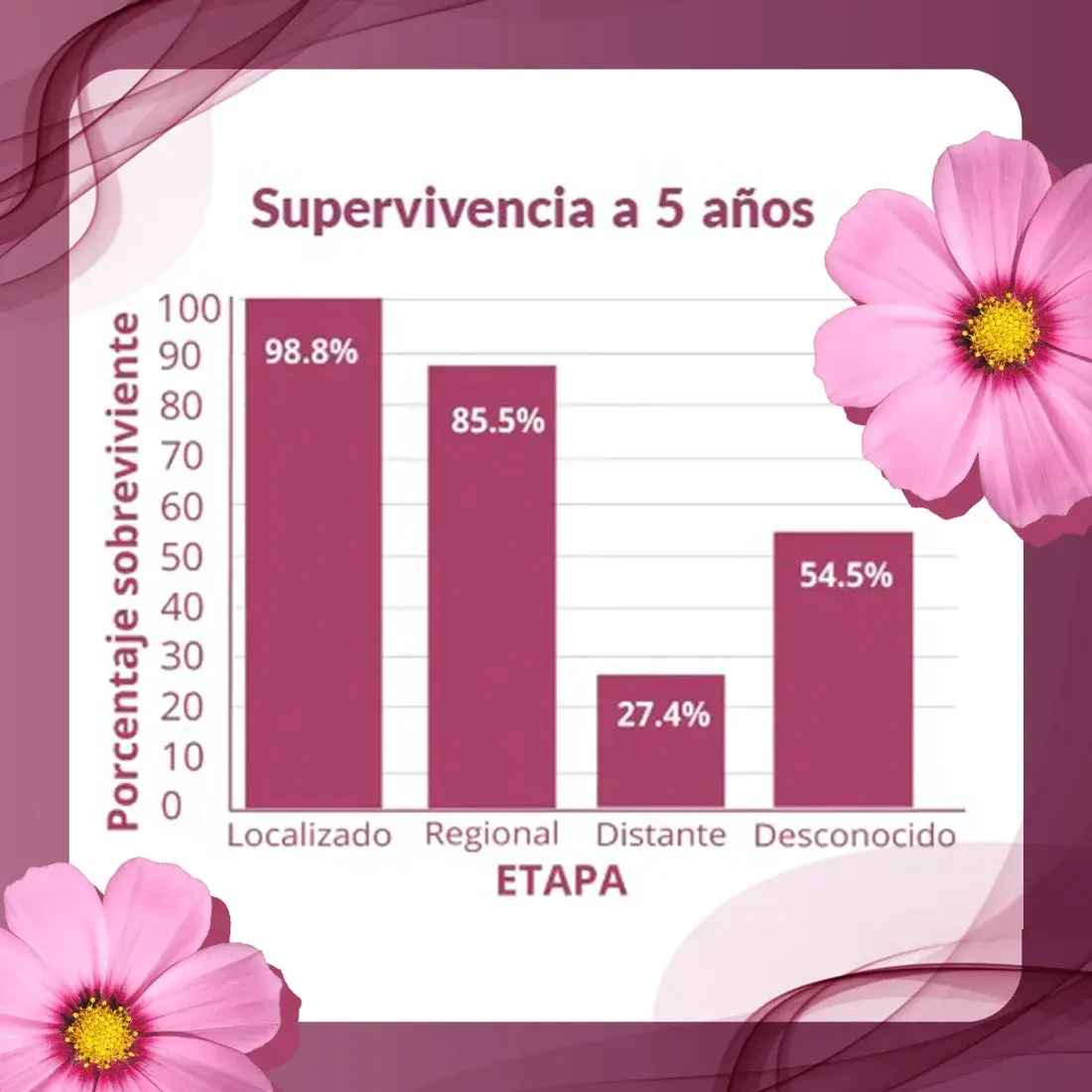 La supervivencia a 5 años depende de la etapa en la que se dio el diagnóstico del cáncer de mama (localizado, regional, distante, desconocido).