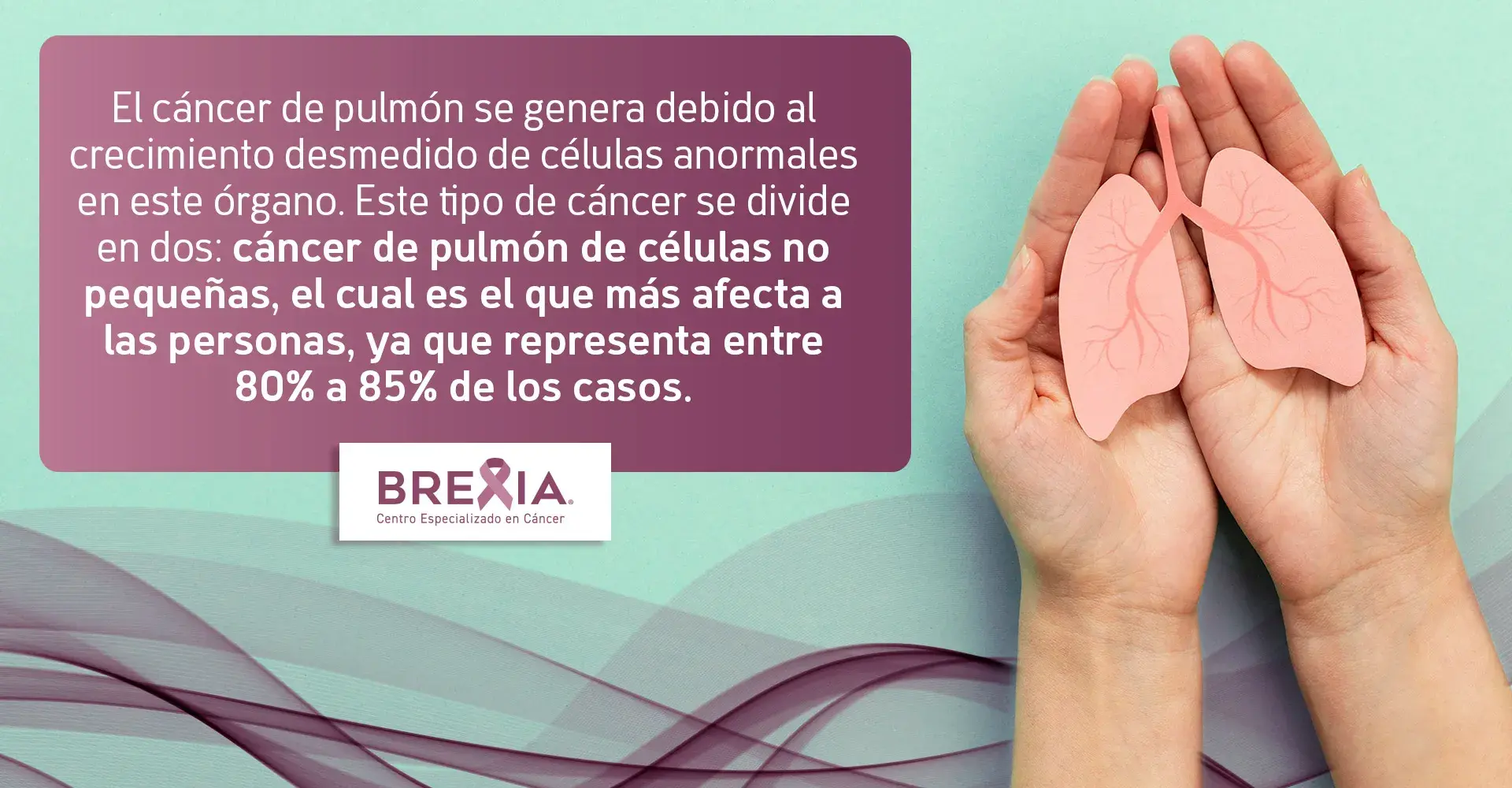 Existen dos tipos de cáncer de pulmón, el que más afecta a las personas es el de células no pequeñas