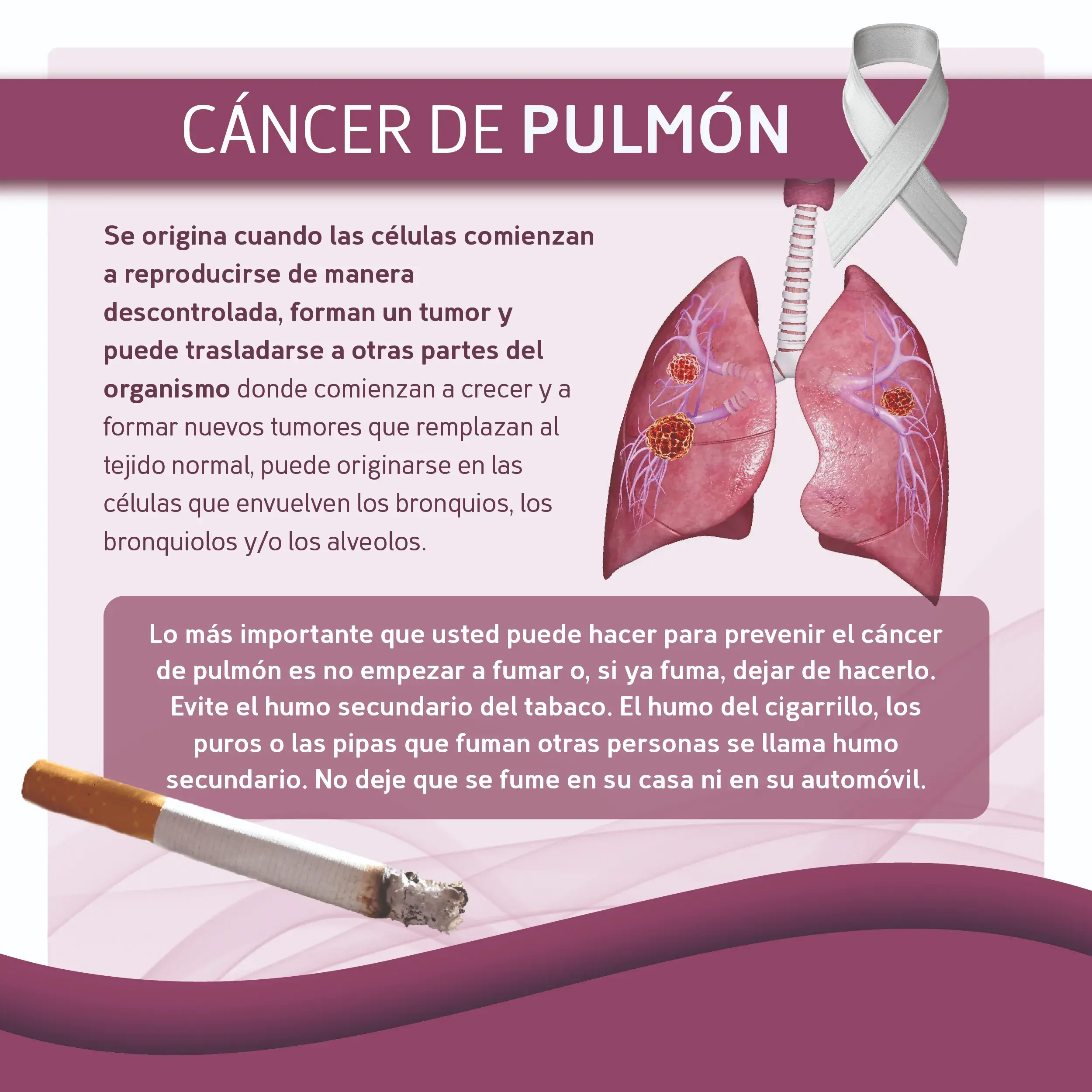 Un factor de riesgo del cáncer de pulmón es ser fumador
