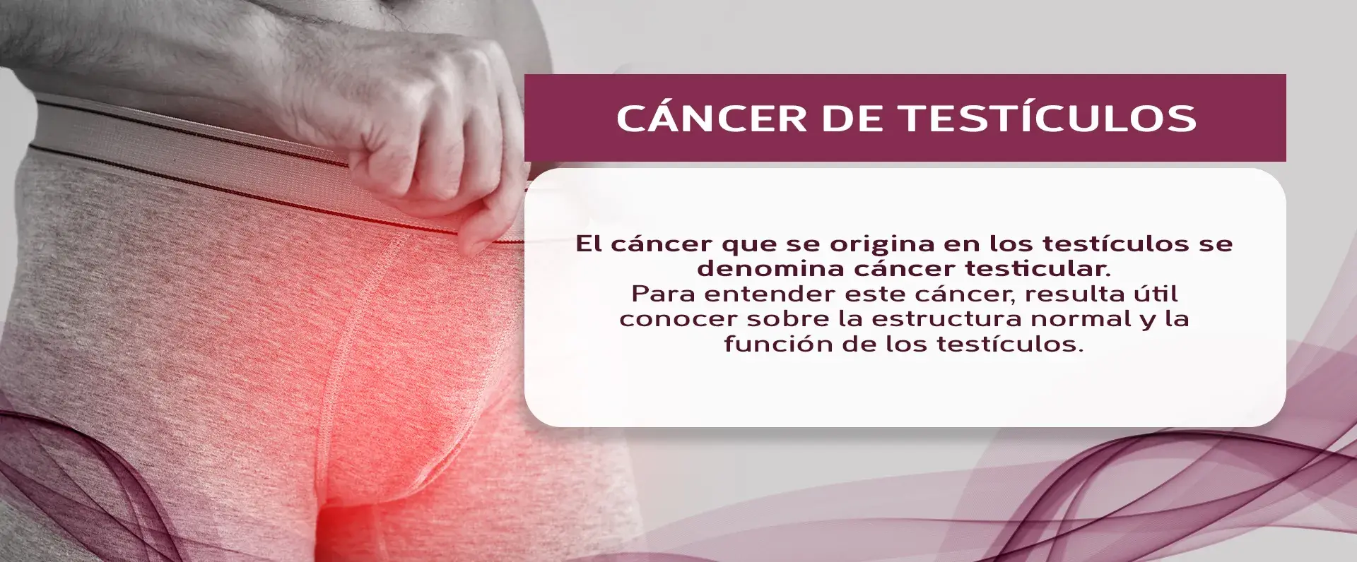 Origen del cáncer testicular según las células