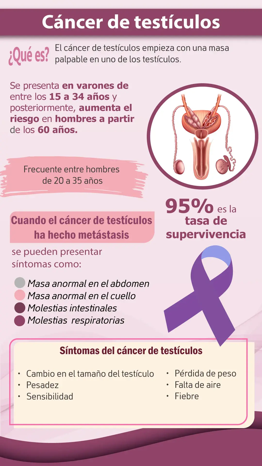 Qué es el cáncer de testículos (Síntomas, tasa de supervivencia, intervalo de edad)