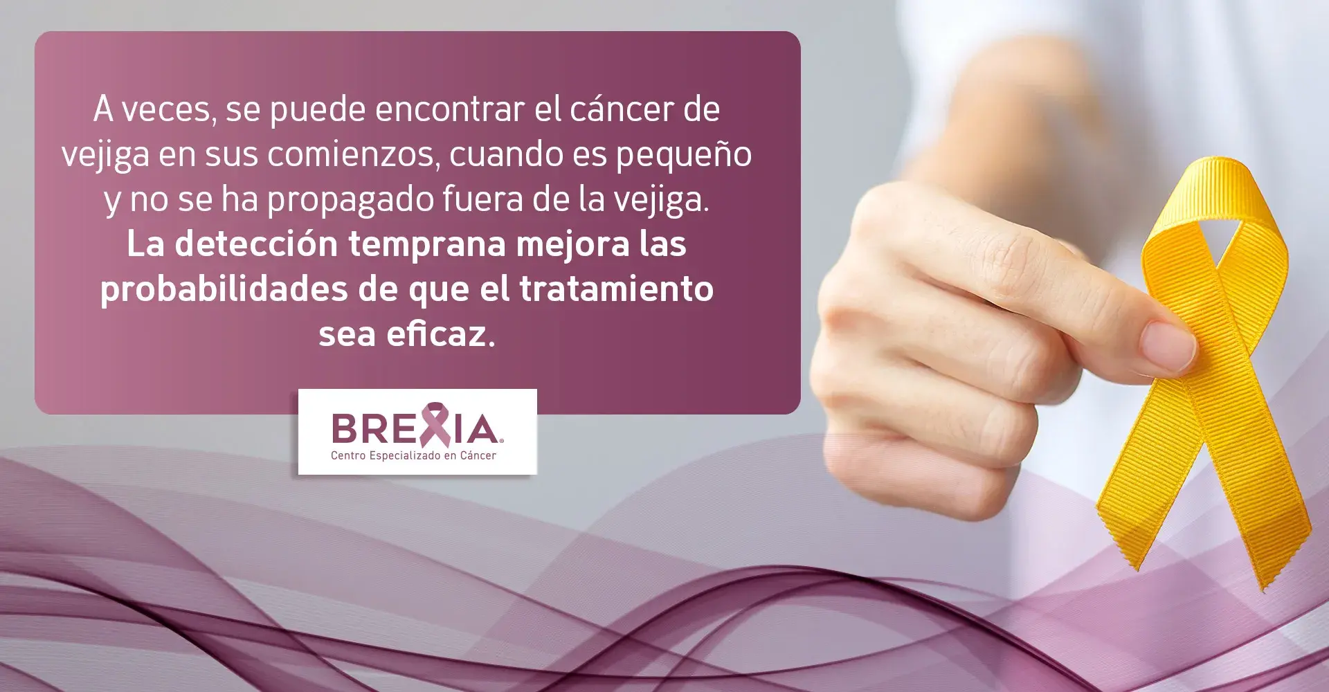 Cuando el cáncer de vejiga es pequeño y se detecta a tiempo hay variadas opciones de tratamiento.