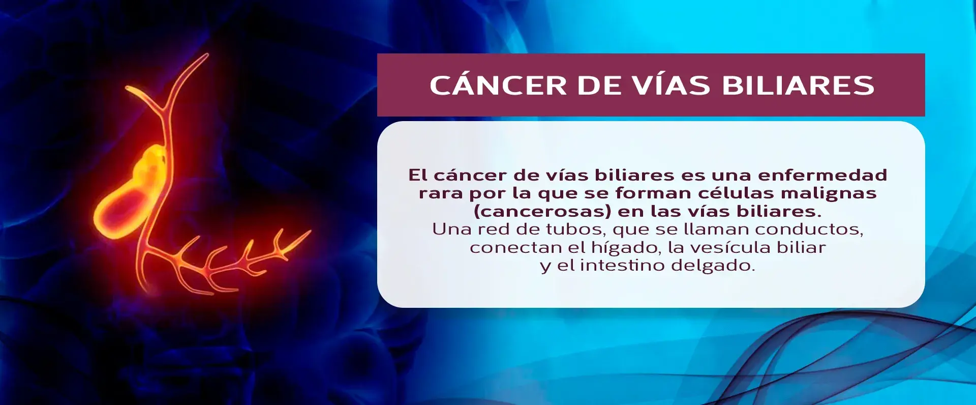 El cáncer de vías biliares es una enfermedad rara que se da en los conductos del hígado, vesícula biliar e intestino delgado.