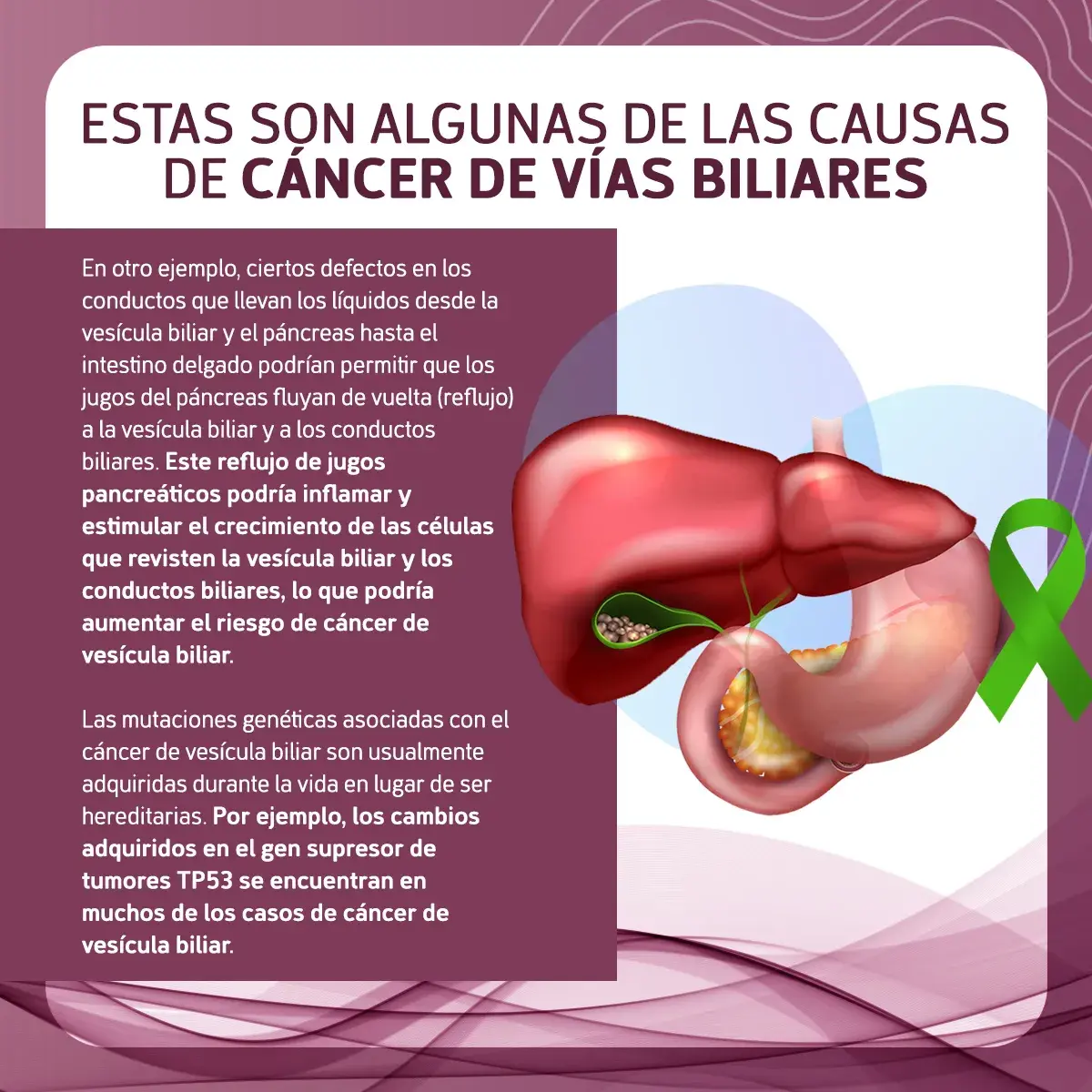 Posibles causas del cáncer de vías biliares (defectos en los conductos, mutaciones genéticas)