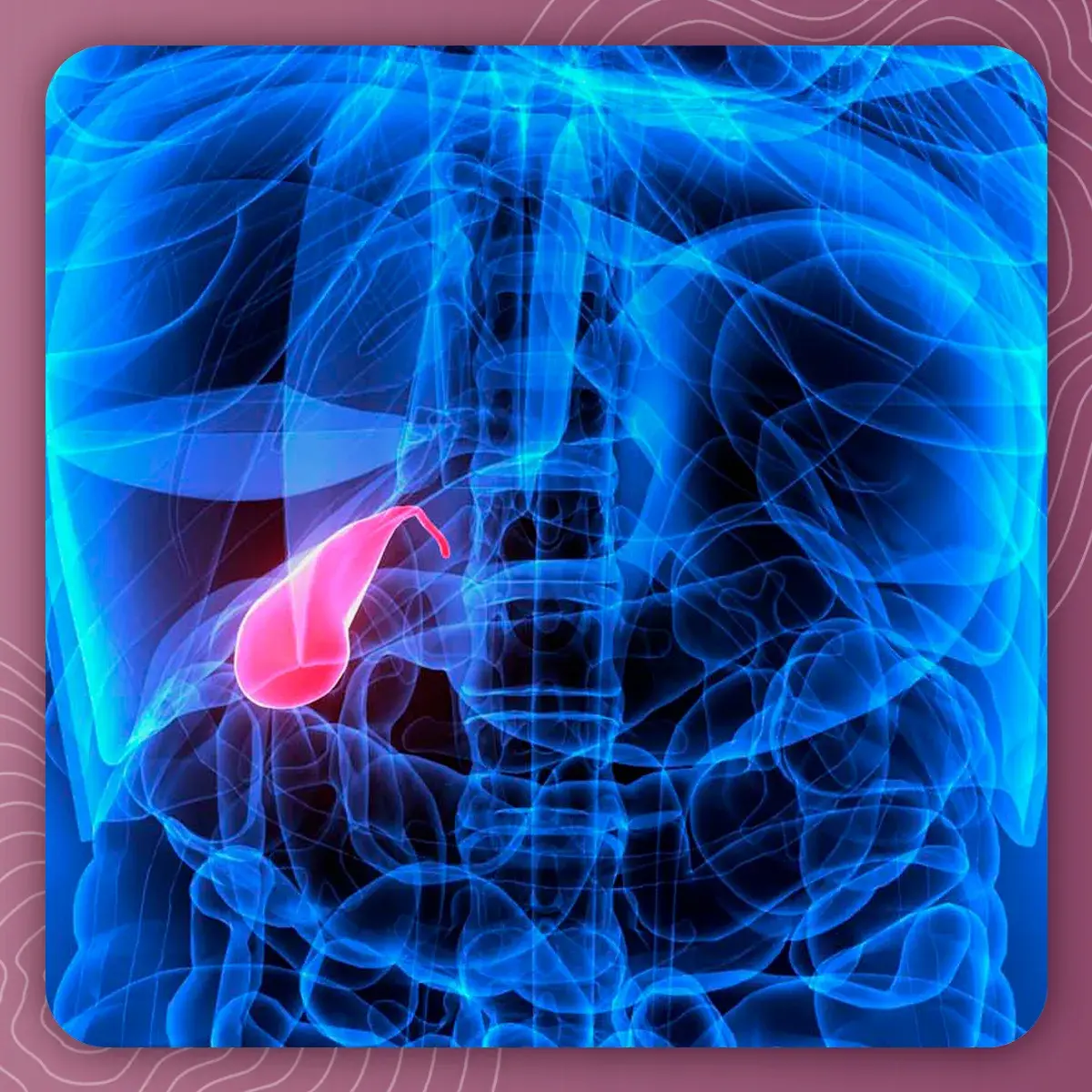 La localización de las vías biliares es en la parte superior del abdomen